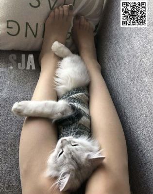 亚洲永久免费av_BD英语电影免费在线